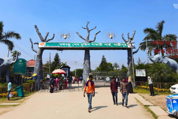 বঙ্গবন্ধু সাফারি পার্ক - GoArif