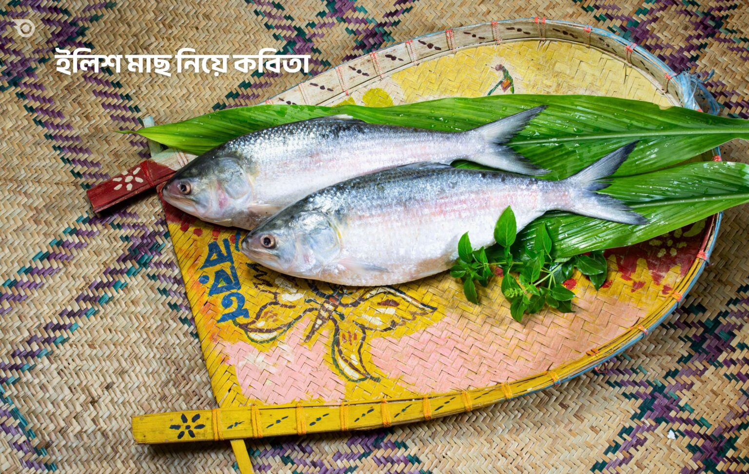 ইলিশ মাছ নিয়ে কবিতা - GoArif