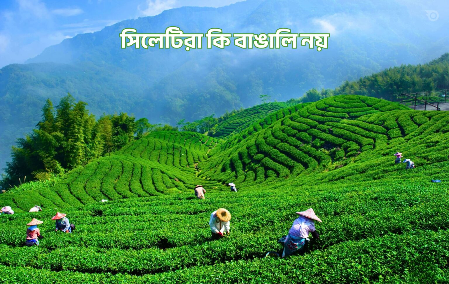 সিলেটিরা কি বাঙালি নয় - GoArif