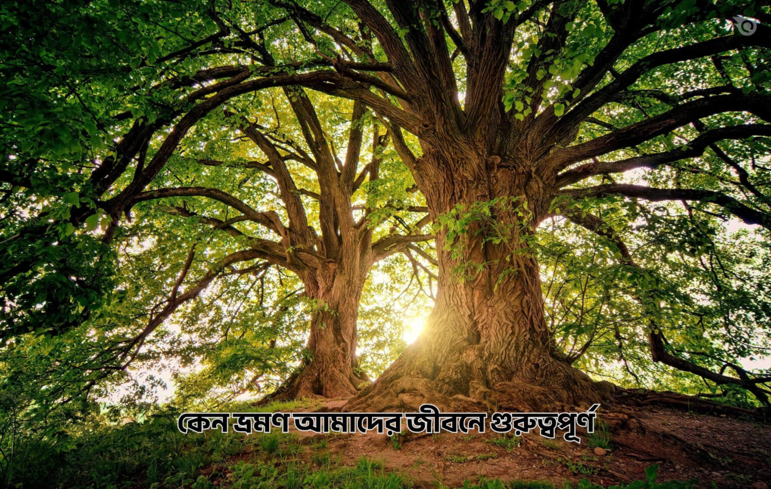 ভ্রমণে পরিবেশ রক্ষা কেন গুরুত্বপূর্ণ - GoArif