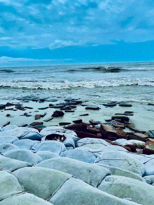 সাগরকন্যা কুয়াকাটা সমুদ্র সৈকত ভ্রমণ