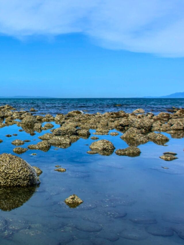 বাংলাদেশের একমাত্র প্রবাল দ্বীপ সেন্টমার্টিন